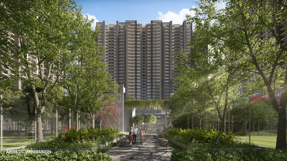 Palm Olympia Goldspire